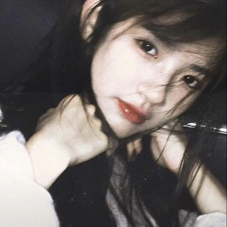 大搜查线之封锁彩虹桥