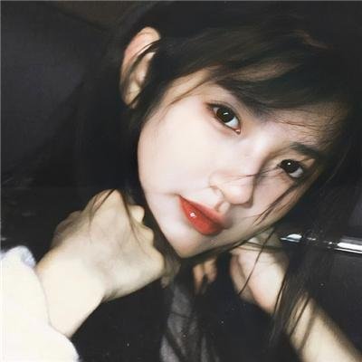 野狼历险记5：家族之旅